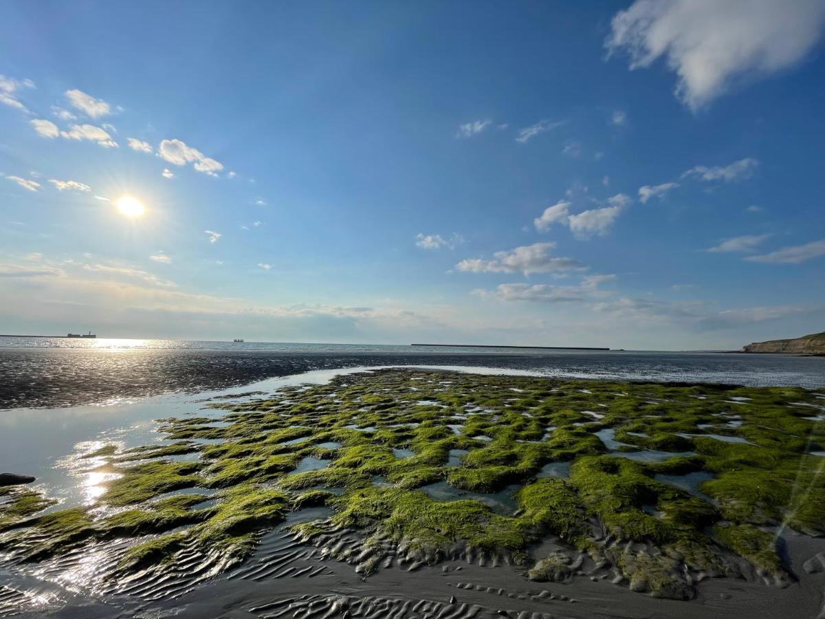 Superbe Vue Mer Face A Nausicaa บูโลญ-ซูร์-แมร์ ภายนอก รูปภาพ